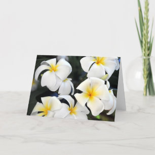 Het Wenskaart van de Bloemen van Hawaï Plumeria Kaart