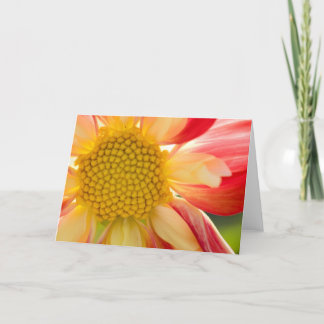 Het wenskaart van de Brand van de bloem Kaart