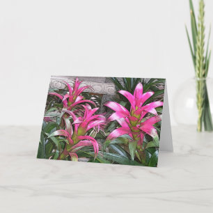 Het Wenskaart van de bromelia Kaart