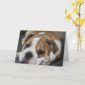 Het Wenskaart van de Buldog van de slaap Kaart (Gele Bloem)