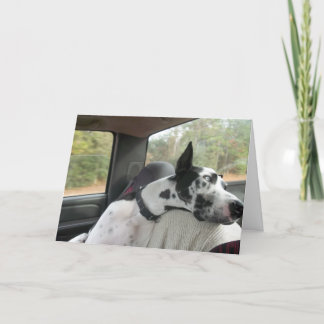 Het Wenskaart van de bulldozer Kaart