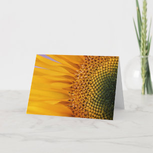 Het Wenskaart van de Close-up van de zonnebloem Kaart