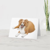 Het Wenskaart van de Collies van de grens Kaart (Achterkant)