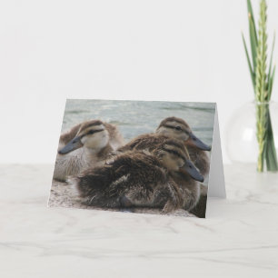 Het Wenskaart van de Dag van Ducky Kaart