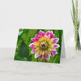 Het Wenskaart van de dahlia, Spatie binnen Kaart
