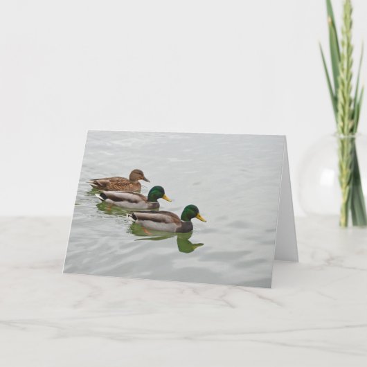 Het wenskaart van de de eenddruk van de wilde eend kaart (Voorkant)