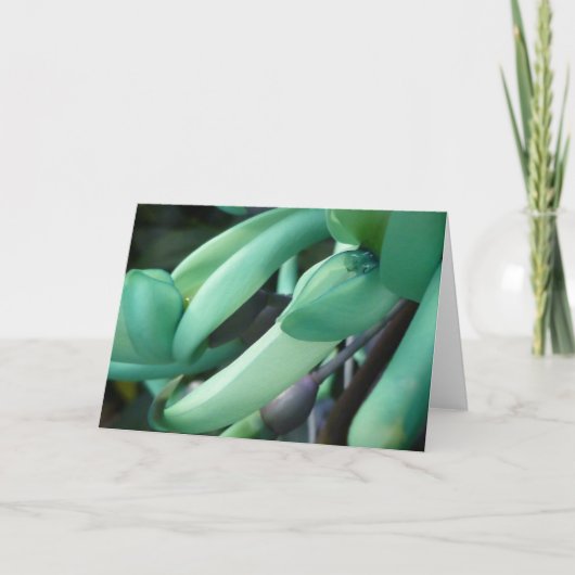 Het Wenskaart van de Droom van de jade Kaart (Voorkant)