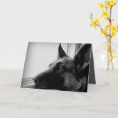 Het Wenskaart van de Duitse herder Kaart (Gele Bloem)