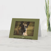 Het Wenskaart van de Duitse herder Kaart (Achterkant)