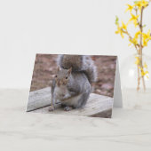 Het Wenskaart van de eekhoorn Kaart (Gele Bloem)