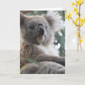 Het Wenskaart van de Feiten van de koala Kaart (Gele Bloem)