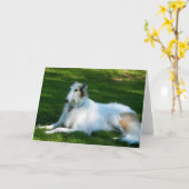Het Wenskaart van de Foto van de Hond "Borzoi" Kaart (Gele Bloem)