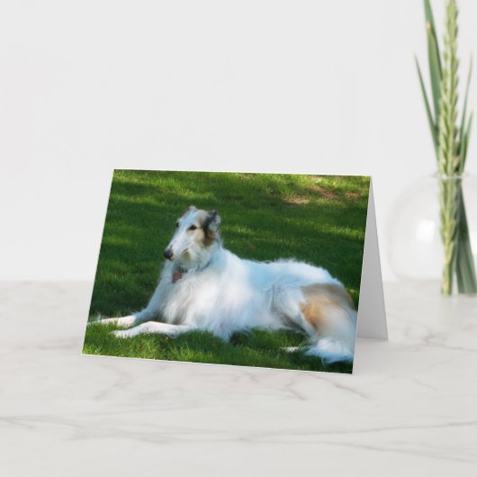Het Wenskaart van de Foto van de Hond "Borzoi" Kaart (Voorkant)