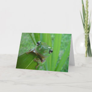 Het Wenskaart van de Foto van de kikker Kaart