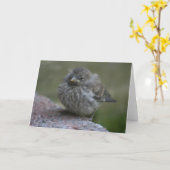 Het Wenskaart van de Foto "van de Mus van het Kaart (Gele Bloem)