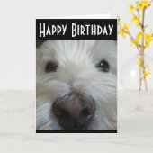 Het Wenskaart van de Foto van de Neus van de Kaart (Gele Bloem)