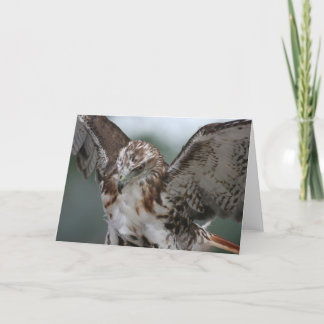 Het Wenskaart van de Foto van de Vogel van de Kaart