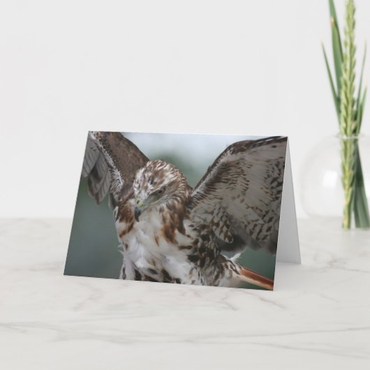 Het Wenskaart van de Foto van de Vogel van de Kaart (Voorkant)