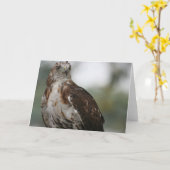 Het Wenskaart van de Foto van de Vogel van de Kaart (Gele Bloem)