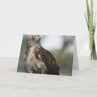 Het Wenskaart van de Foto van de Vogel van de Kaart