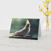 Het Wenskaart van de Fotografie van de Vogel Kaart (Gele Bloem)