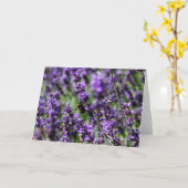 Het Wenskaart van de Gebieden van de lavendel Kaart (Gele Bloem)