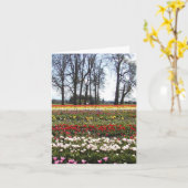 Het wenskaart van de Gebieden van de tulp Kaart (Gele Bloem)