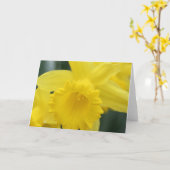 Het wenskaart van de gele narcis kaart (Gele Bloem)