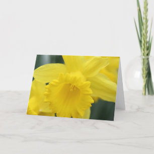 Het wenskaart van de gele narcis kaart