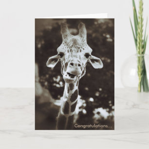 Het Wenskaart van de Gelukwensen van de Giraffe Kaart