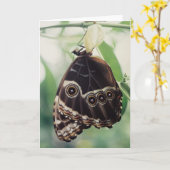 Het Wenskaart van de Glorie van Ermerging Kaart (Gele Bloem)