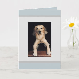 Het Wenskaart van de Golden Retriever. Kaart
