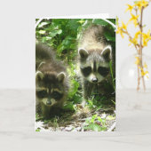 Het Wenskaart van de Habitat van de wasbeer Kaart (Gele Bloem)