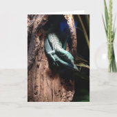 het wenskaart van de hagedisomhelzing kaart (Voorkant)