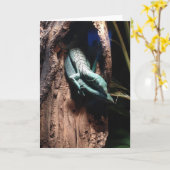 het wenskaart van de hagedisomhelzing kaart (Gele Bloem)