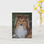 Het Wenskaart van de Herdershond van Sheltie Kaart (Gele Bloem)