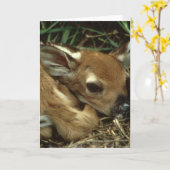 Het Wenskaart van de Herten van het baby Kaart (Gele Bloem)