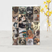 Het Wenskaart van de hond en van de Kat Kaart (Gele Bloem)