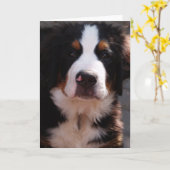 Het Wenskaart van de Hond van de Berg van Bernese Kaart (Gele Bloem)