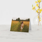 Het Wenskaart van de Hond van de bokser Kaart (Gele Bloem)