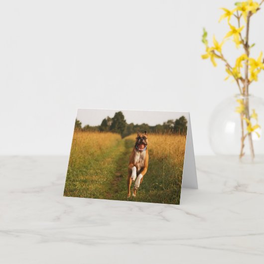 Het Wenskaart van de Hond van de bokser Kaart (Gele Bloem)