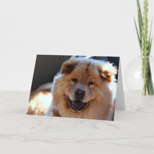 Het Wenskaart van de Hond van de chow-chow Kaart