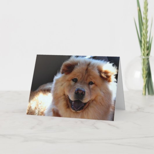 Het Wenskaart van de Hond van de chow-chow Kaart (Voorkant)