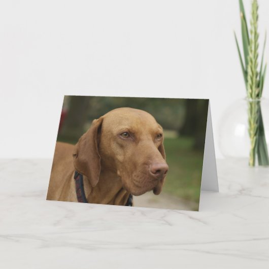 Het Wenskaart van de Hond van Ridgeback van Kaart (Voorkant)