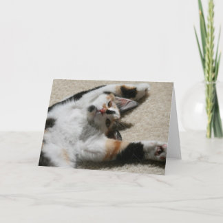 Het Wenskaart van de hoop Kaart