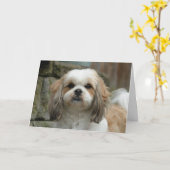 Het Wenskaart van de Humor van het Huisdier "uit Kaart (Gele Bloem)