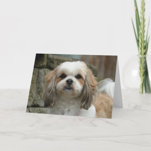 Het Wenskaart van de Humor van het Huisdier "uit Kaart (Voorkant)