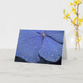 Het Wenskaart van de hydrangea hortensia Kaart (Gele Bloem)