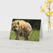 Het Wenskaart van de hyena Kaart (Gele Bloem)