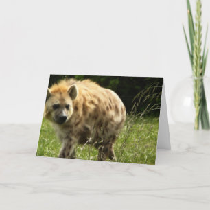 Het Wenskaart van de hyena Kaart